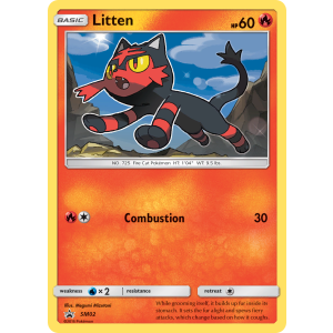 Promo Litten SM02/248 Pokemon TCG Sun & Moon SM Black Star Promos