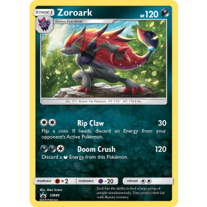 Promo Zoroark SM89/248 Pokemon TCG Sun & Moon SM Black Star Promos