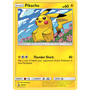 Promo Pikachu SM206/248 Pokemon TCG Sun & Moon SM Black Star Promos