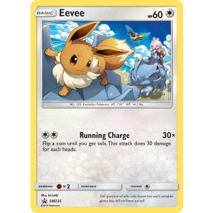 Promo Eevee SM235/248 Pokemon TCG Sun & Moon SM Black Star Promos