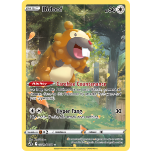 Trainer Gallery Rare Holo Bidoof GG29/70 Pokemon TCG Sword & Shield Crown Zenith Galarian Gallery