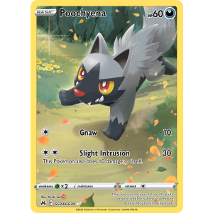 Trainer Gallery Rare Holo Poochyena GG33/70 Pokemon TCG Sword & Shield Crown Zenith Galarian Gallery