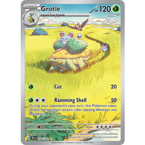 Illustration Rare Grotle 164/162 Pokemon TCG Scarlet & Violet Temporal Forces