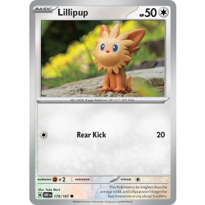 Lillipup 170/197 Pokemon TCG Scarlet & Violet Obsidian Flames