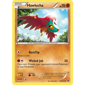 Hawlucha 48/124 Pokemon TCG XY Fates Collide