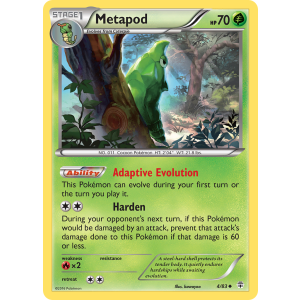 Metapod 4/83 Pokemon TCG XY Generations