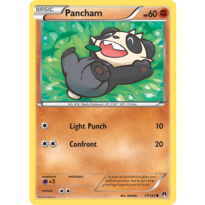 Pancham 71/122 Pokemon TCG XY BREAKpoint