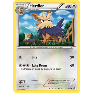 Herdier 121/149 Pokemon TCG Black & White Boundaries Crossed