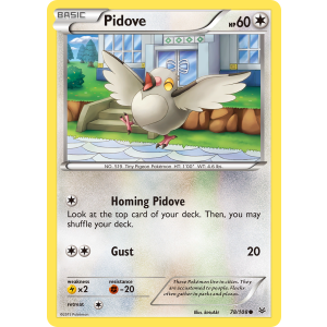 Pidove 78/108 Pokemon TCG XY Roaring Skies