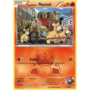 Team Magma's Numel 1/34 Pokemon TCG XY Double Crisis