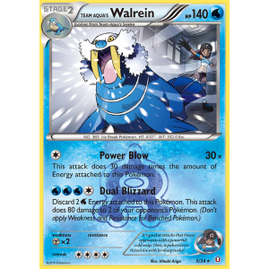 Rare Holo Team Aqua's Walrein 5/34 Pokemon TCG XY Double Crisis