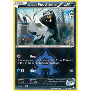 Team Aqua's Poochyena 16/34 Pokemon TCG XY Double Crisis