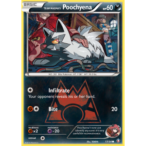 Team Magma's Poochyena 17/34 Pokemon TCG XY Double Crisis