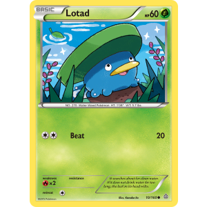 Lotad 10/160 Pokemon TCG XY Primal Clash