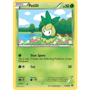 Petilil 13/98 Pokemon TCG Black & White Emerging Powers