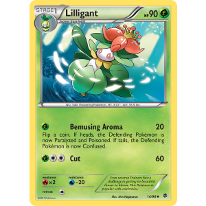 Lilligant 14/98 Pokemon TCG Black & White Emerging Powers