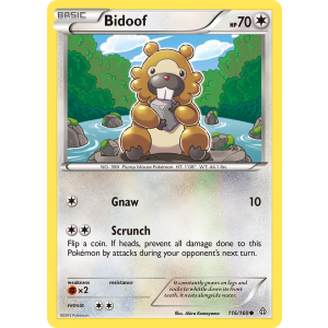 Bidoof 116/160 Pokemon TCG XY Primal Clash