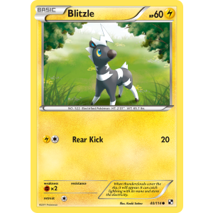 Blitzle 40/114 Pokemon TCG Black & White Black & White