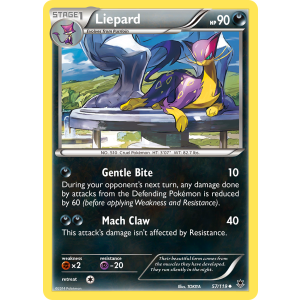 Liepard 57/119 Pokemon TCG XY Phantom Forces