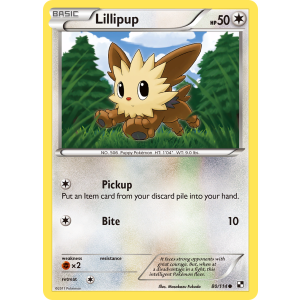 Lillipup 80/114 Pokemon TCG Black & White Black & White