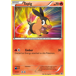 Promo Tepig BW02/101 Pokemon TCG Black & White BW Black Star Promos