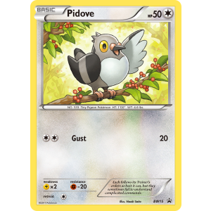 Promo Pidove BW15/101 Pokemon TCG Black & White BW Black Star Promos