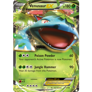 Rare Holo EX Venusaur-EX 1/146 Pokemon TCG XY XY