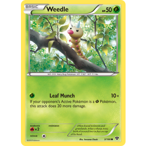 Weedle 3/146 Pokemon TCG XY XY