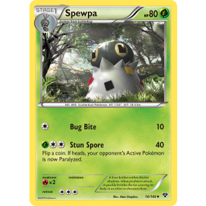 Spewpa 16/146 Pokemon TCG XY XY