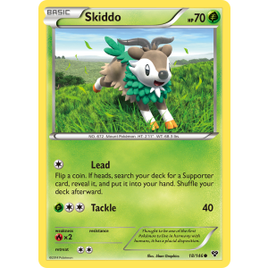 Skiddo 18/146 Pokemon TCG XY XY