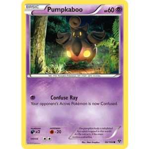 Pumpkaboo 56/146 Pokemon TCG XY XY