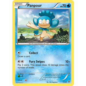  Panpour 11/39 Pokemon TCG XY Kalos Starter Set