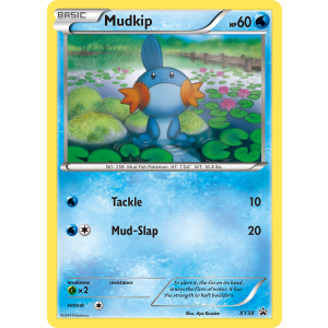 Promo Mudkip XY38/211 Pokemon TCG XY XY Black Star Promos