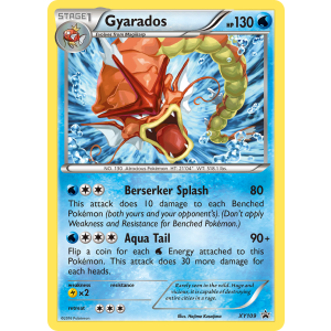 Promo Gyarados XY109/211 Pokemon TCG XY XY Black Star Promos